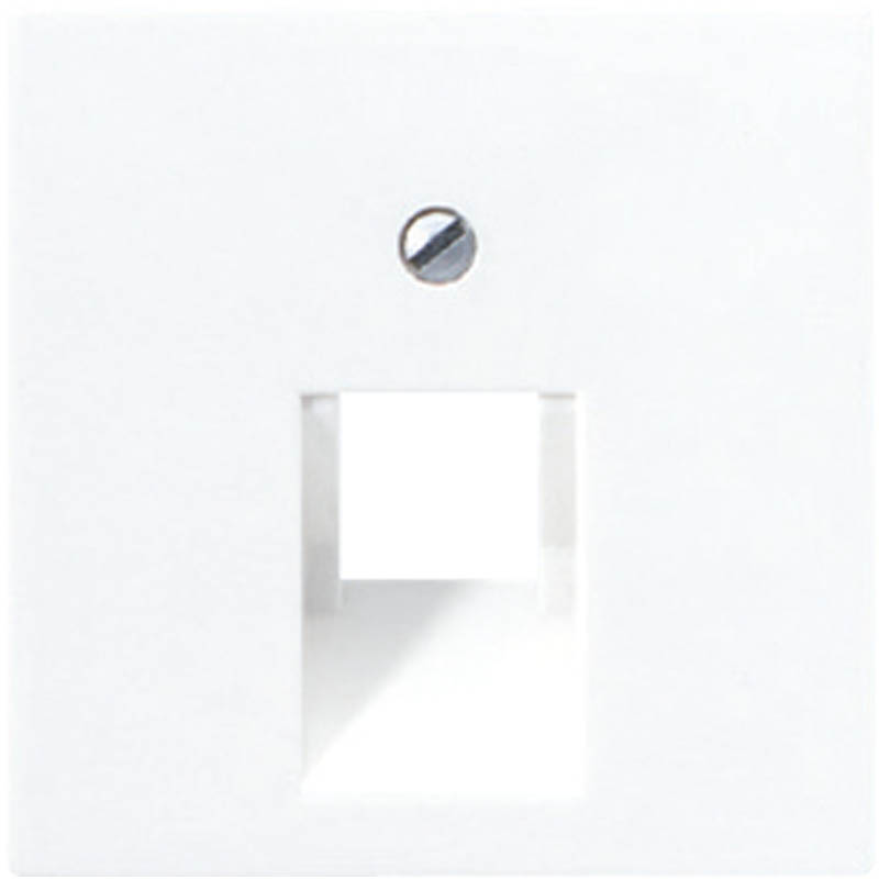 Лицевая панель для розетки телефонной RJ-11/интернет RJ-45 UAE Jung A 500 A569-1BFPLUAWW