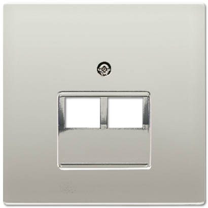 Лицевая панель для розетки телефонной RJ-11/интернет RJ-45 наклонной Jung LS 990 ES2969-2UA