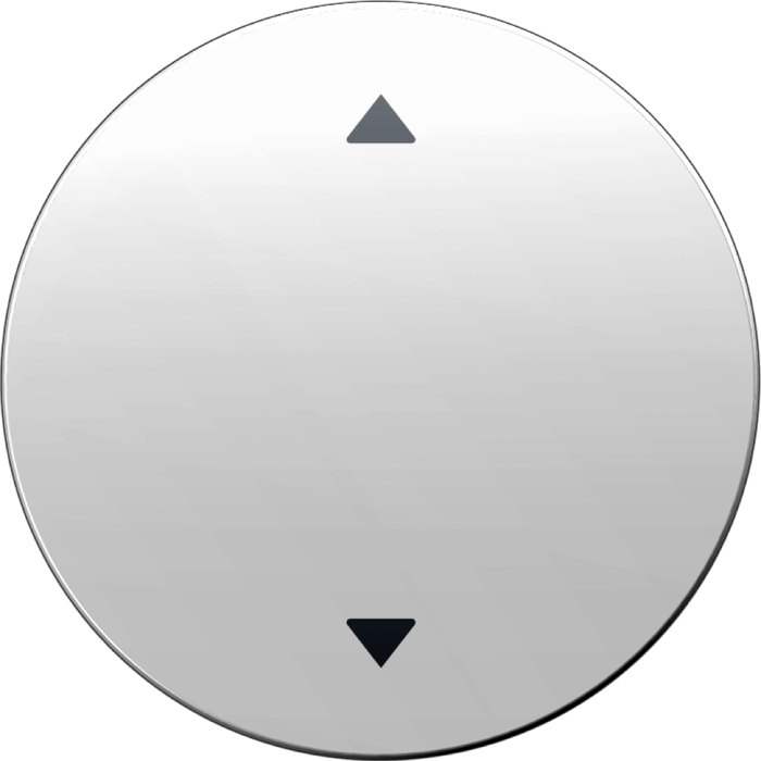 Клавиша Berker R.1 16202049