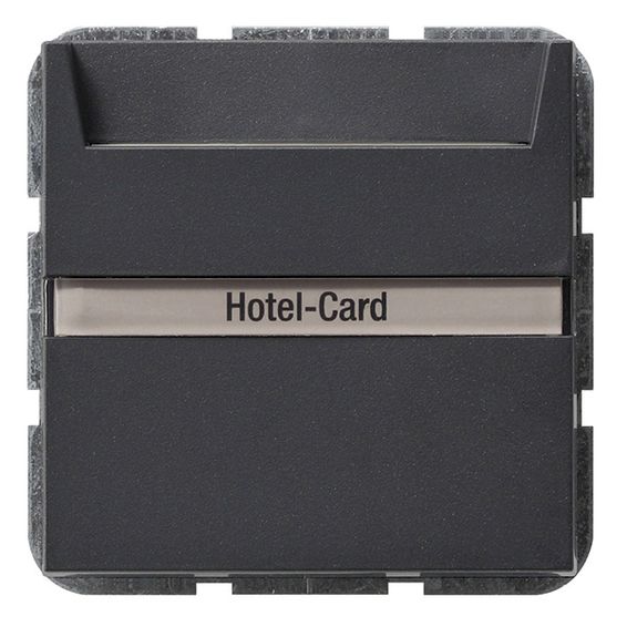 Выключатель карточный Gira SYSTEM 55 014028 13509₽