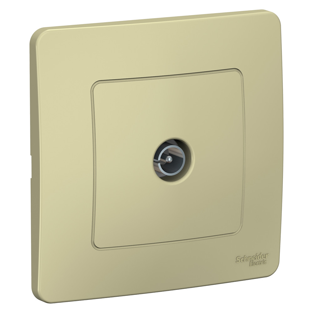 Розетка TV Systeme Electric BLANCA BLNTS000017 251₽