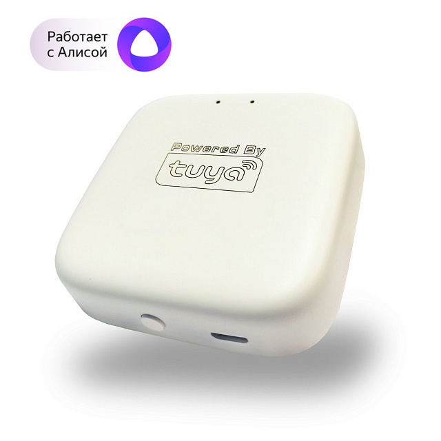 Wi-Fi конвертер Denkirs SMART CONTROL DK7400-WF